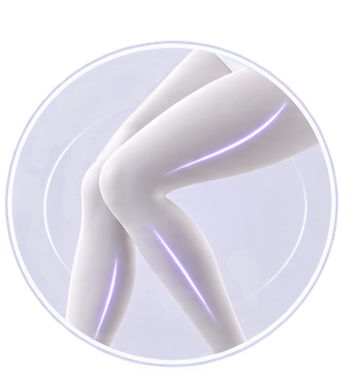 Leg